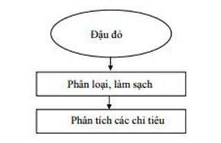 Hạt đậu đỏ