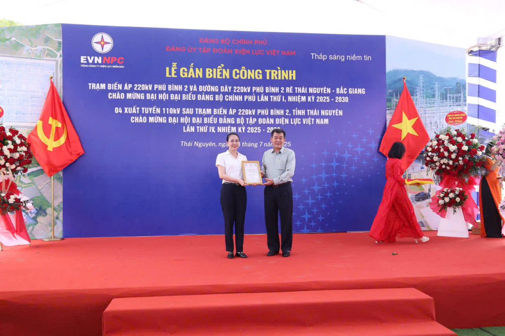 Tổng công ty Điện lực miền Bắc