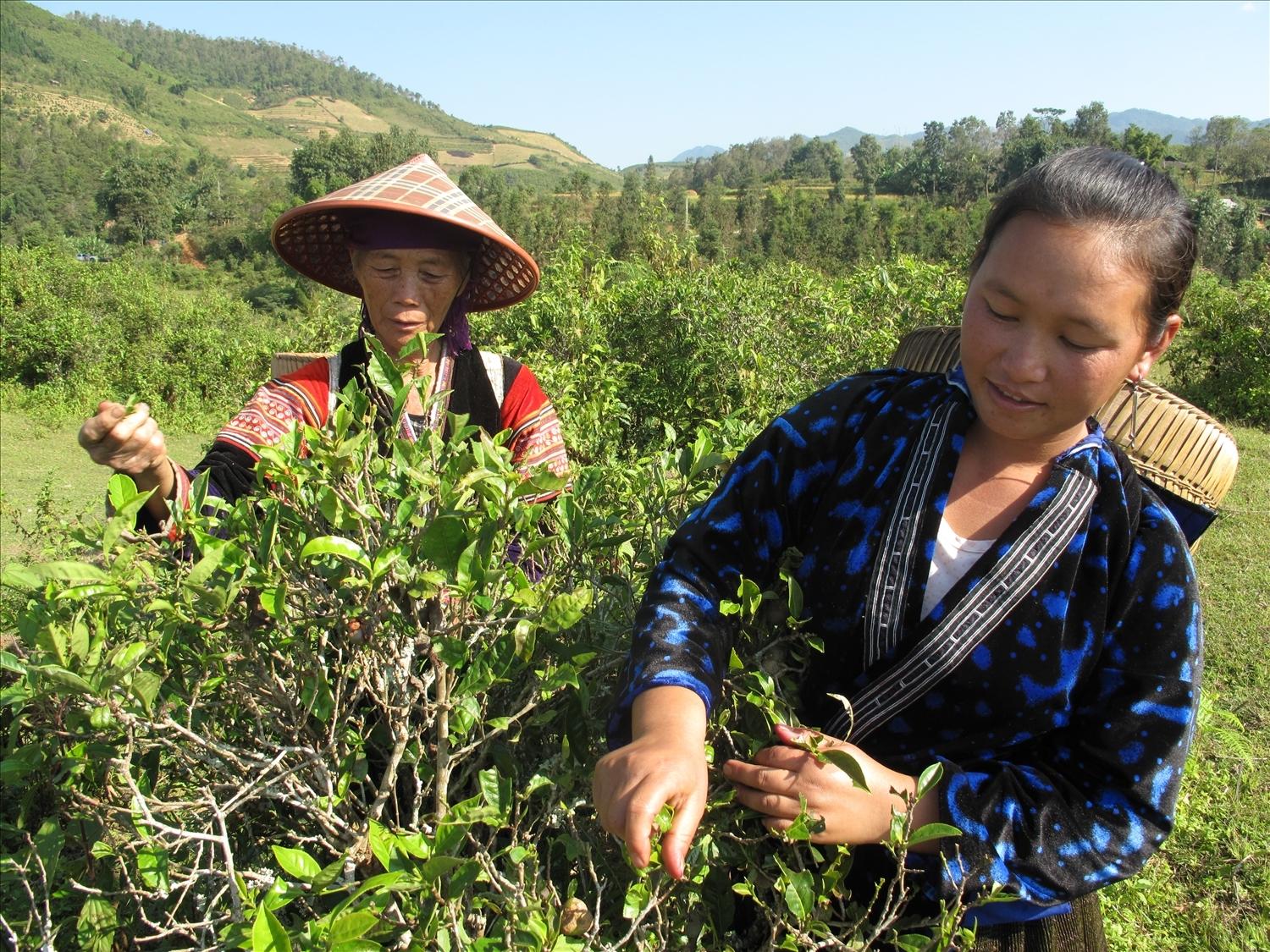 Tư duy về công tác dân tộc của các cấp ủy đảng, chính quyền địa phương đã có những đột phá, chuyển từ hỗ trợ sang kiến tạo phát triển, tạo động lực thay đổi diện mạo vùng đồng bào DTTS (Ảnh TL) Tư duy về công tác dân tộc của các cấp ủy đảng, chính quyền địa phương đã có những đột phá, chuyển từ hỗ trợ sang kiến tạo phát triển, tạo động lực thay đổi diện mạo vùng đồng bào DTTS (Ảnh TL)