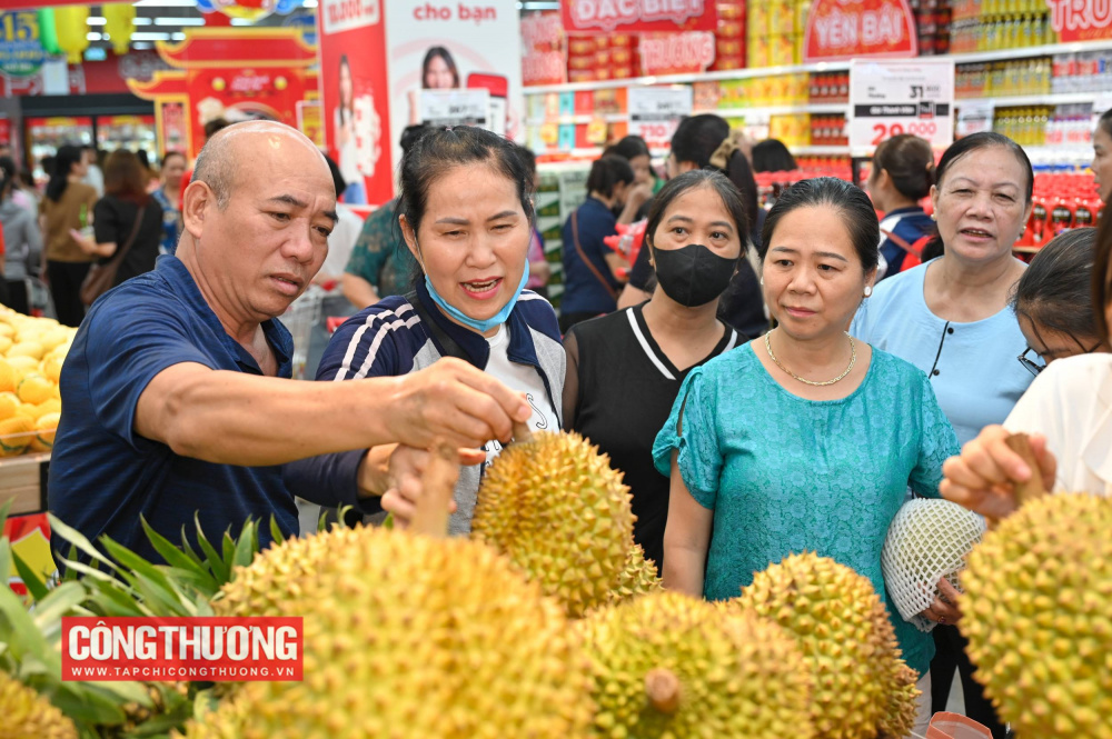 GO! Yên Bái, Lào Cai