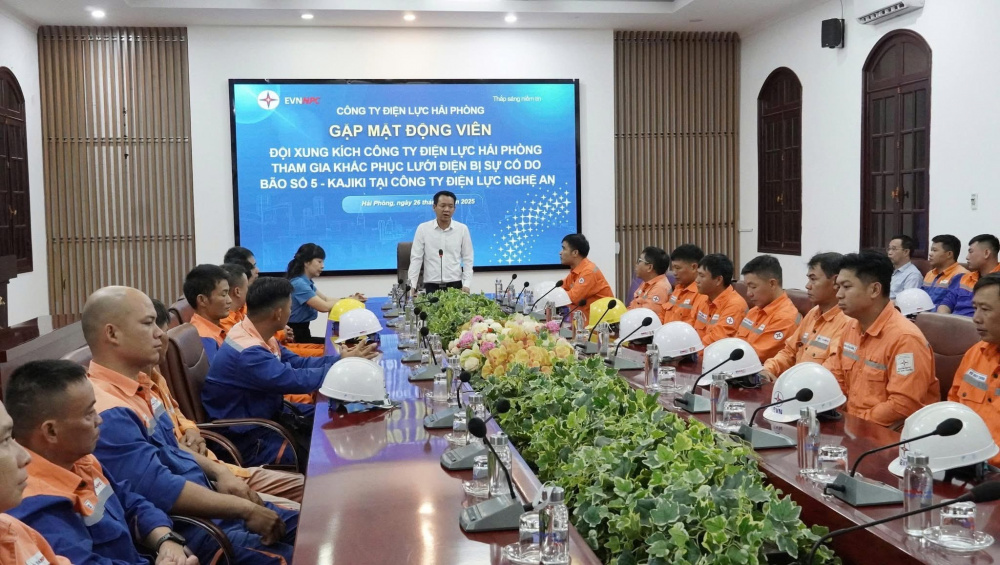 Tổng công ty Điện lực miền Bắc