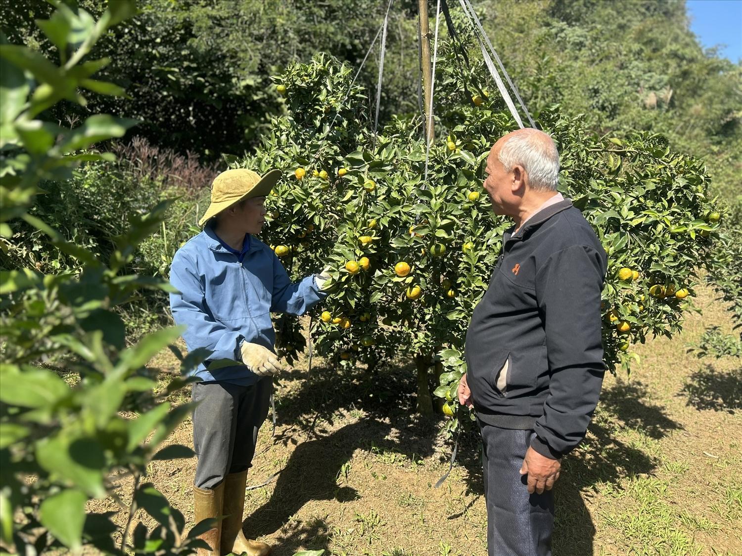 Nhờ nâng cao nhận thức pháp luật , mâu thuẫn giảm, tinh thần đoàn kết cộng đồng được củng cố, người dân yên tâm phát triển kinh tế
