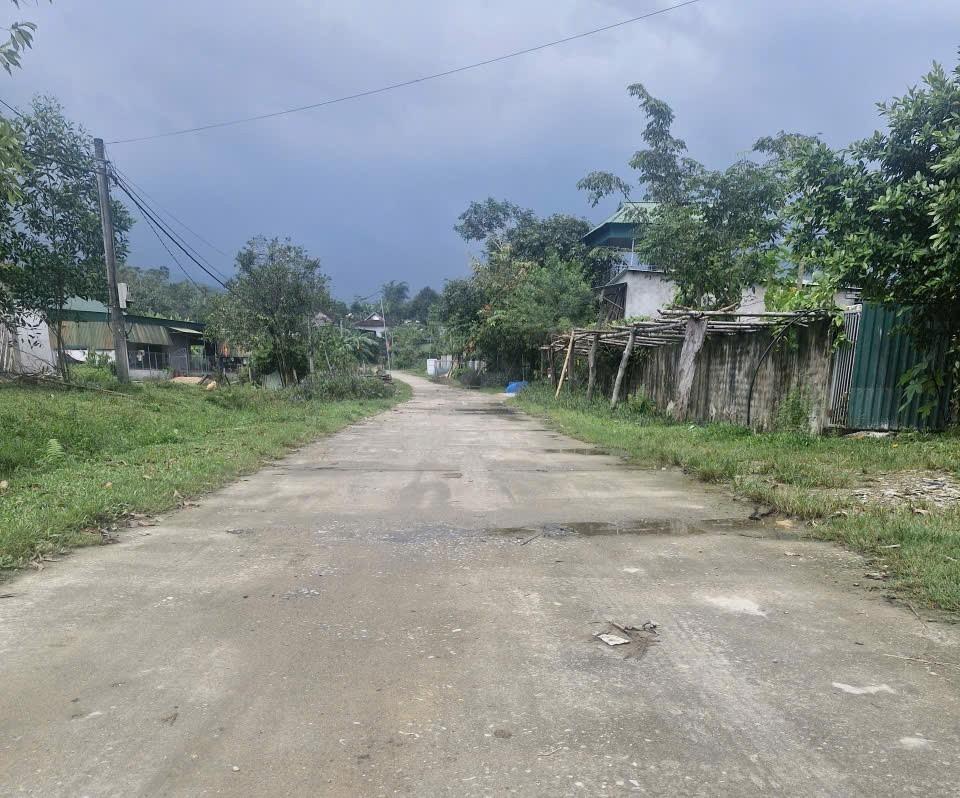 Nhiều tuyến đường thuộc Chương trình MTQG 1719 đã được đưa vào sử dụng tại xã Sơn Lâm