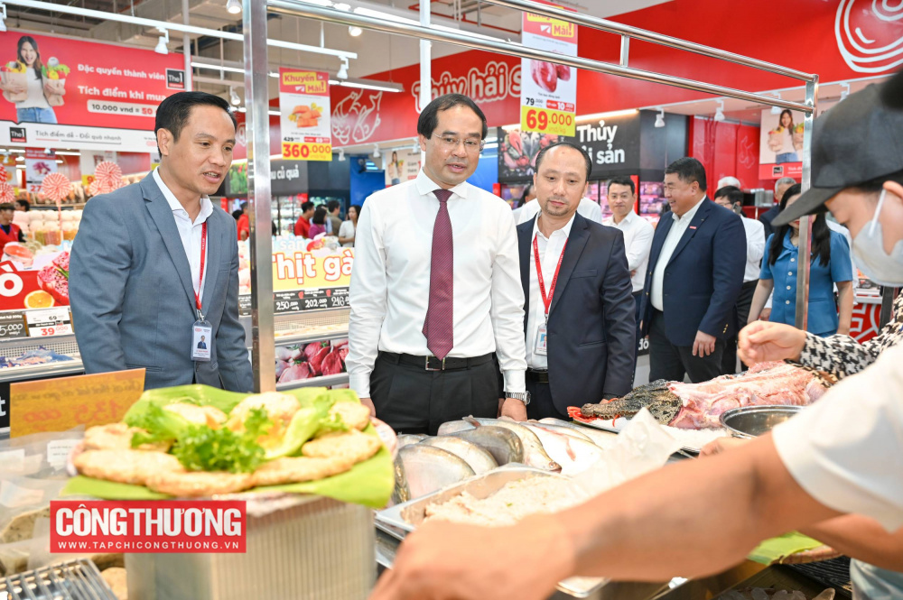 GO! Yên Bái, Lào Cai