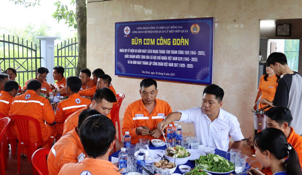 Công ty Điện lực Đồng Nai