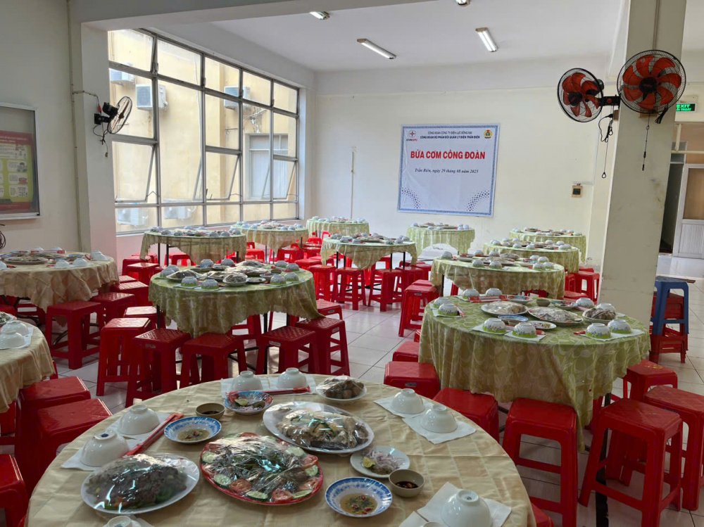 Công ty Điện lực Đồng Nai