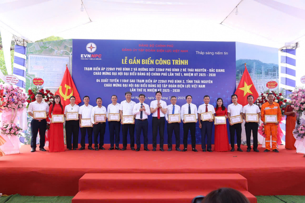 Tổng công ty Điện lực miền Bắc