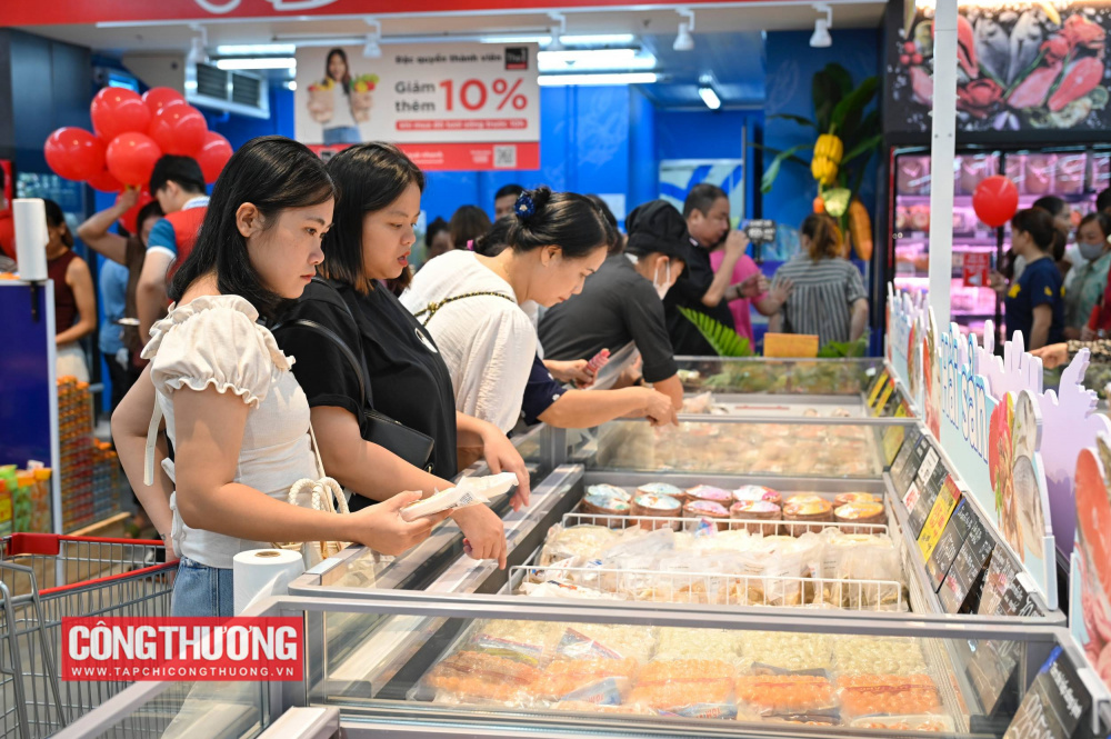 GO! Yên Bái, Lào Cai