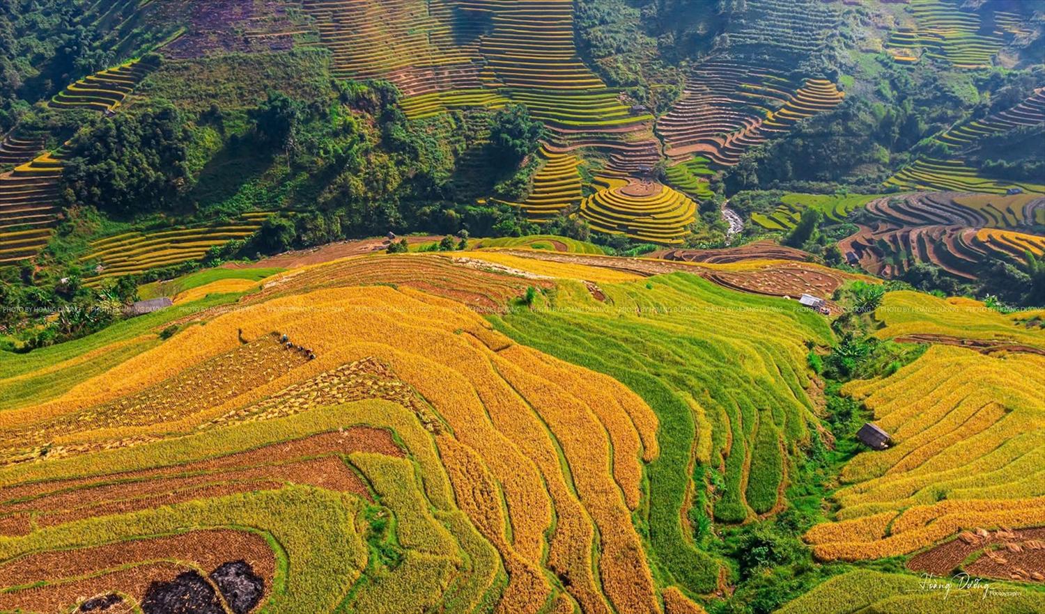 Phó Thủ tướng Thường trực Chính phủ Nguyễn Hòa Bình chỉ đạo Bộ Nông nghiệp và Môi trường tiếp thu, giải trình đầy đủ ý kiến của các thành viên Chính phủ và Ủy ban Thường vụ Quốc hội, các cơ quan của Quốc hội và thống nhất nội dung hồ sơ trình với Bộ Dân tộc và Tôn giáo để hoàn thiện hồ sơ Báo cáo đề xuất chủ trương đầu tư Chương trình MTQG