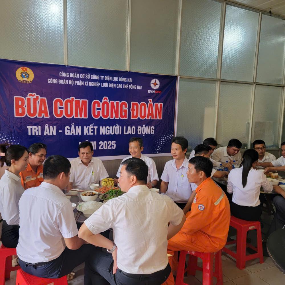 Công ty Điện lực Đồng Nai