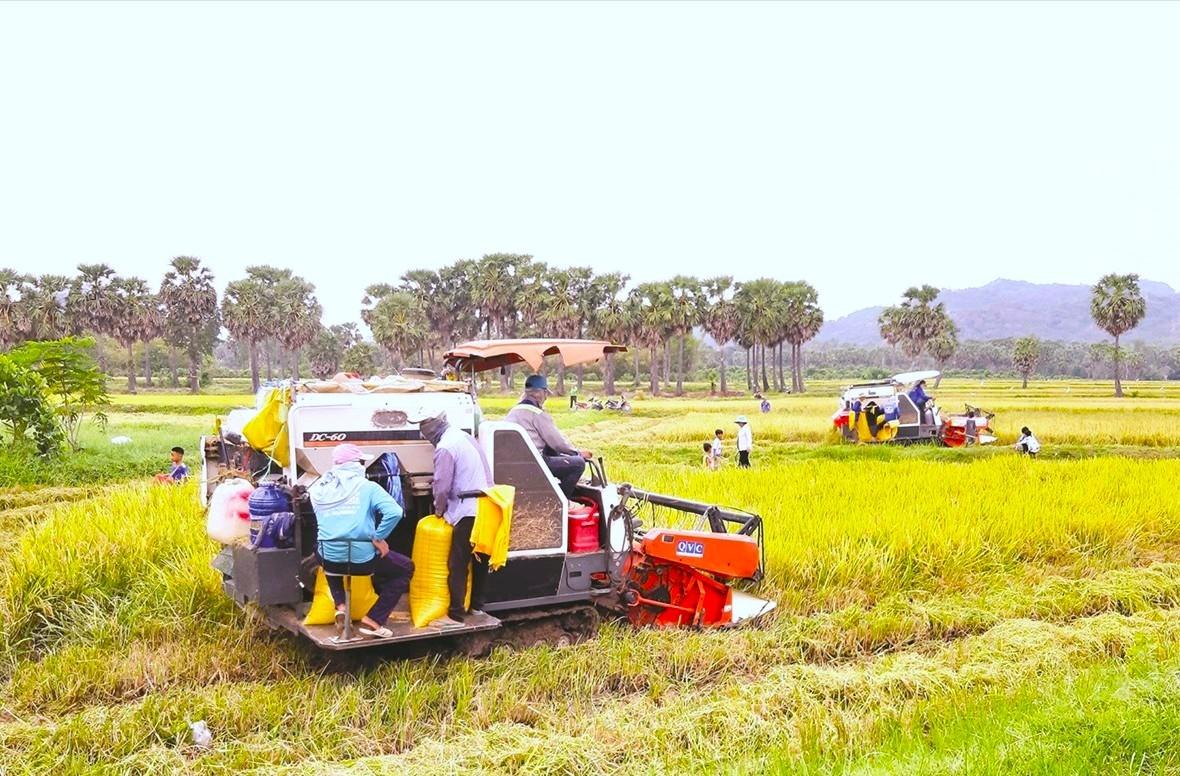 Xã Ô Lâm đưa máy móc vào phục vụ sản xuất, góp phần tăng thu nhập, giảm nghèo bền vững Xã Ô Lâm đưa máy móc vào phục vụ sản xuất, góp phần tăng thu nhập, giảm nghèo bền vững