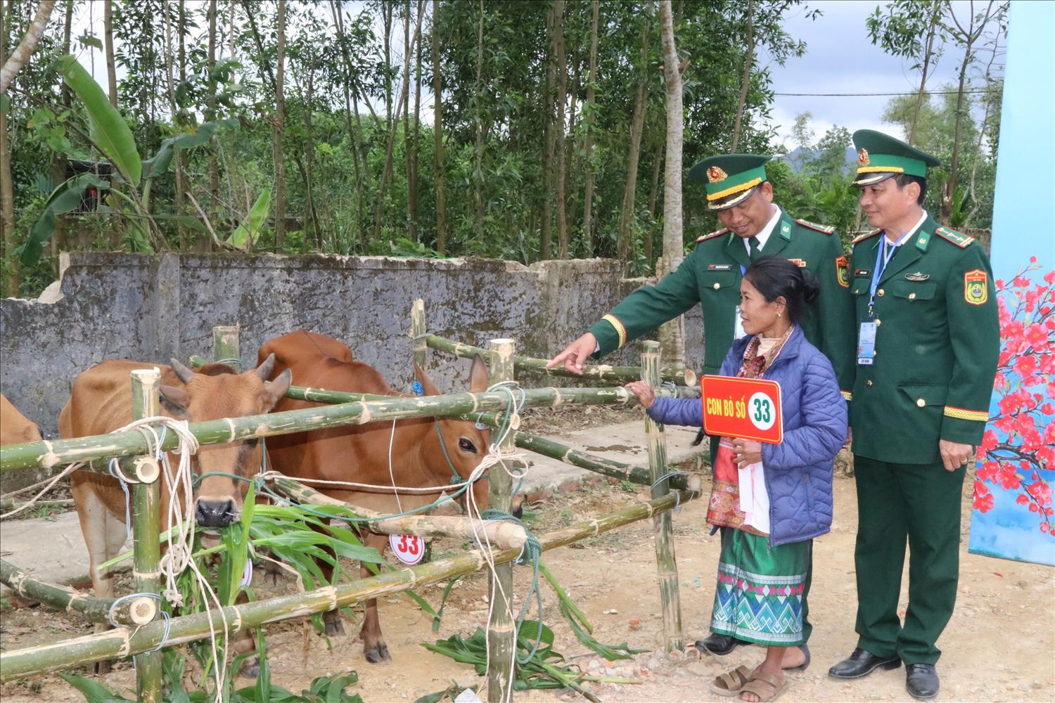 Chị Hồ Thị Thùm, người dân thôn bản Giàng 2 được hỗ trợ bò giống
