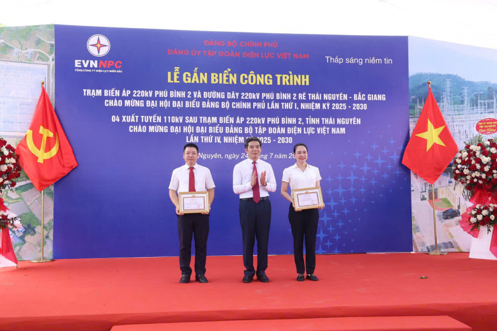 Tổng công ty Điện lực miền Bắc