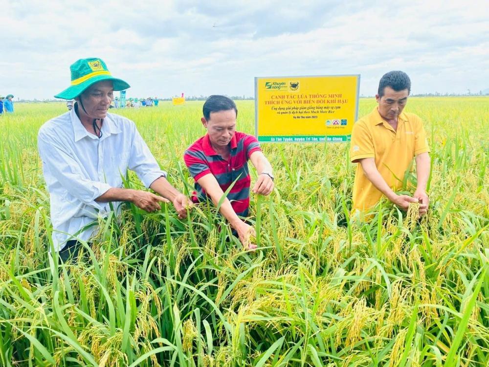 Phân bón Bình Điền