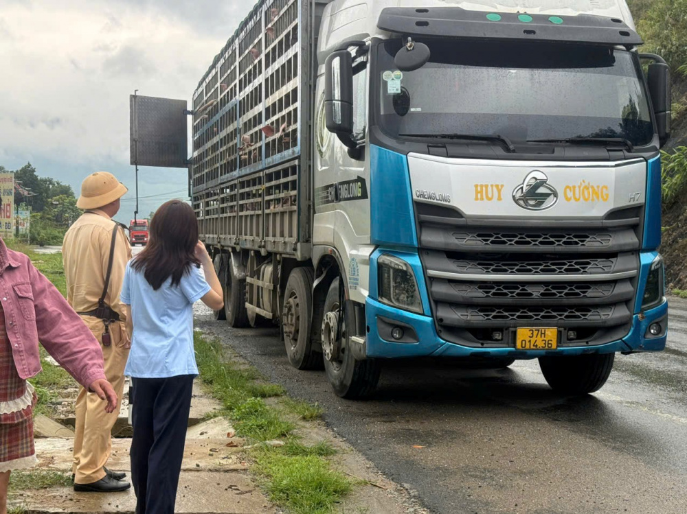 Dịch tả lợn Châu Phi