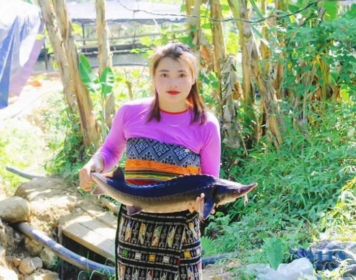 Chị Lương Thị Lực – cô gái dân tộc Mường ở xã Sơn Điện (Thanh Hóa) đã khởi nghiệp thành công nhờ nuôi cá Tầm