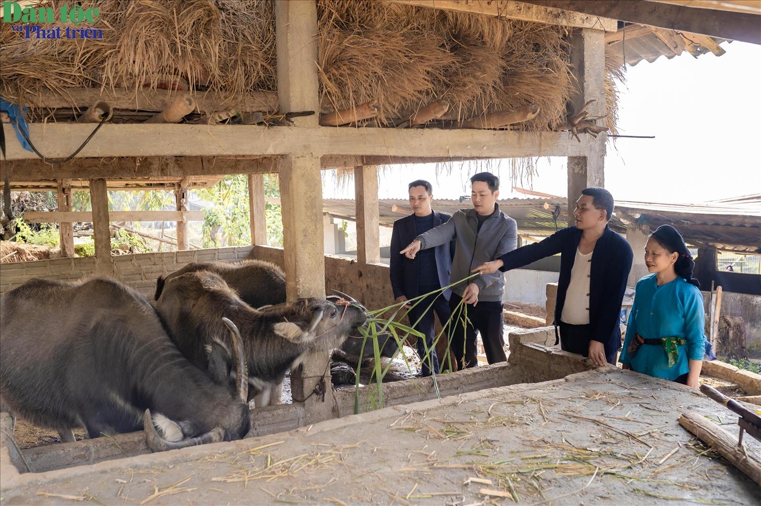 Nh&agrave; ở kh&ocirc;ng chỉ đ&aacute;p ứng nhu cầu sinh hoạt thiết yếu m&agrave; c&ograve;n l&agrave; nền tảng quan trọng cho qu&aacute; tr&igrave;nh ổn định đời sống v&agrave; ph&aacute;t triển kinh tế của người d&acirc;n x&atilde; T&acirc;n Tiến