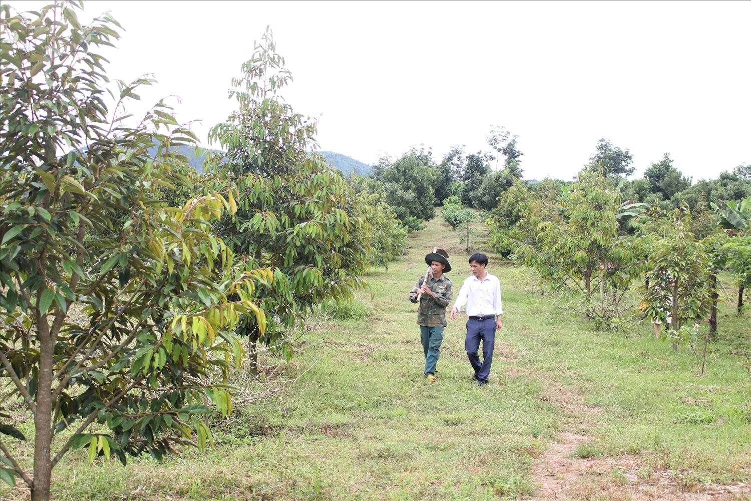 Hiện có hơn 65% đảng viên ở xã Ya Ly làm kinh tế khá, giỏi; trong đó, có 15 đảng viên có mức thu nhập hàng tỷ đồng/năm. (Ảnh: Ngọc Chí) Hiện có hơn 65% đảng viên ở xã Ya Ly làm kinh tế khá, giỏi; trong đó, có 15 đảng viên có mức thu nhập hàng tỷ đồng/năm. (Ảnh: Ngọc Chí)
