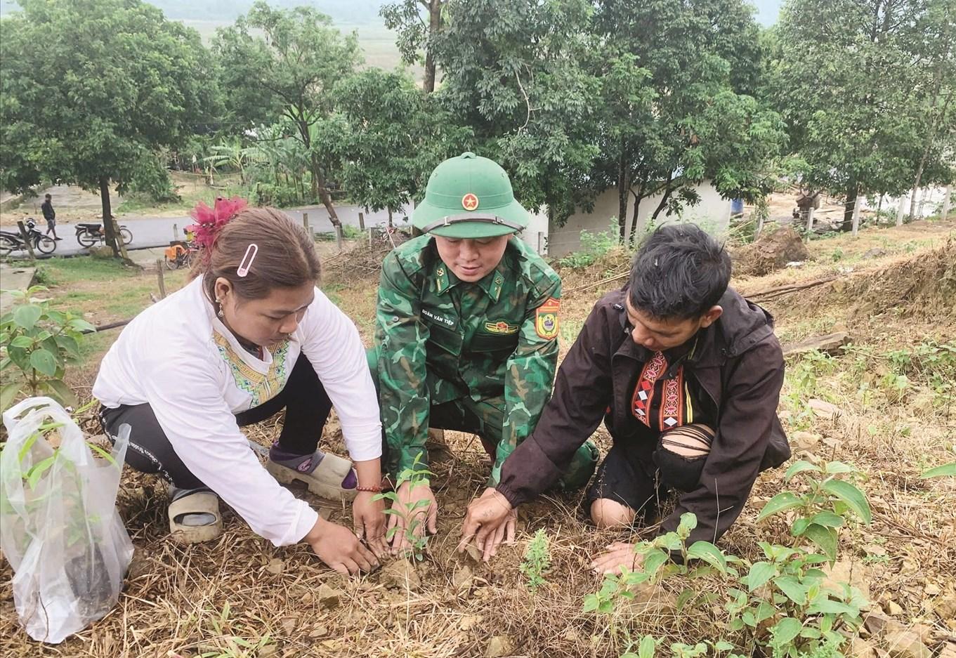 Cán bộ, chiến sĩ Đồn Biên phòng Bản Giàng cùng với chính quyền địa phương xã Phúc Trạch cấp cây gió trầm miễn phí và hỗ trợ kỹ thuật trồng cây giống cho bà con bản Rào Tre, tỉnh Hà Tĩnh.