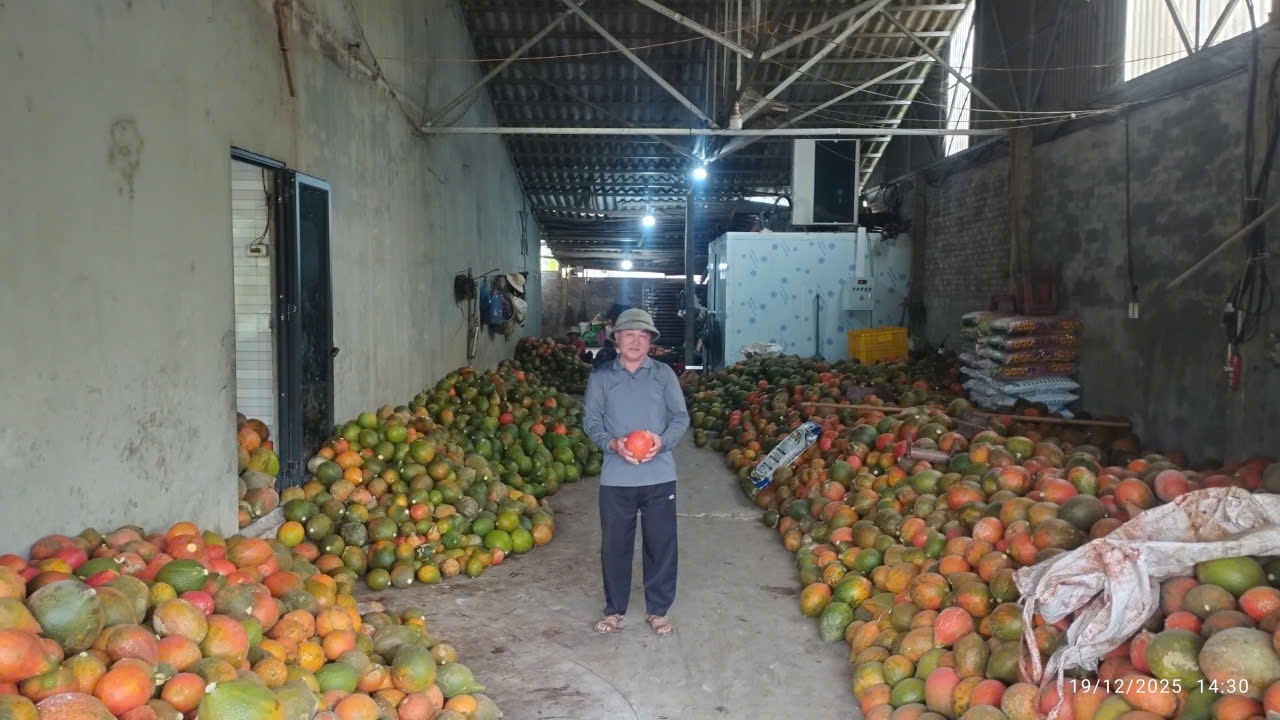 &Ocirc;ng Ma Văn Hiệu đến c&aacute;c hộ gia đ&igrave;nh l&agrave;m kinh doanh, thu mua v&agrave; bảo quản n&ocirc;ng sản tại th&ocirc;n để động vi&ecirc;n b&agrave; con tiếp tục ph&aacute;t triển kinh tế. (Ảnh: V&acirc;n Kh&aacute;nh)