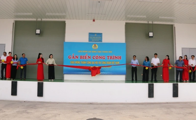 Phát động phong trào thi đua “Lao động giỏi, năng suất cao, thu nhập tốt” giai đoạn 2026-2031