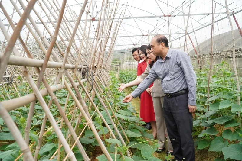 Ra mắt Câu lạc bộ “Nông dân sản xuất kinh doanh giỏi” 