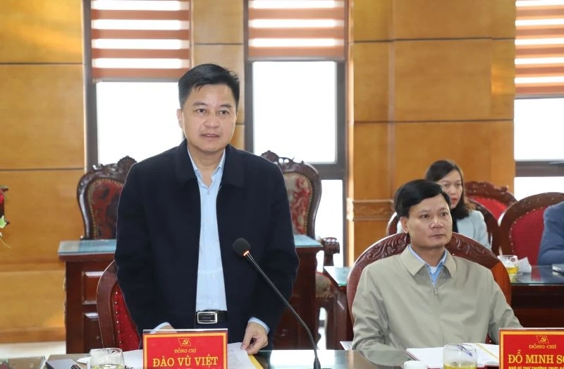 Gi&aacute;m s&aacute;t c&ocirc;ng t&aacute;c l&atilde;nh đạo, chỉ đạo, tổ chức thực hiện c&ocirc;ng t&aacute;c bầu cử đại biểu Quốc hội v&agrave; HĐND c&aacute;c cấp