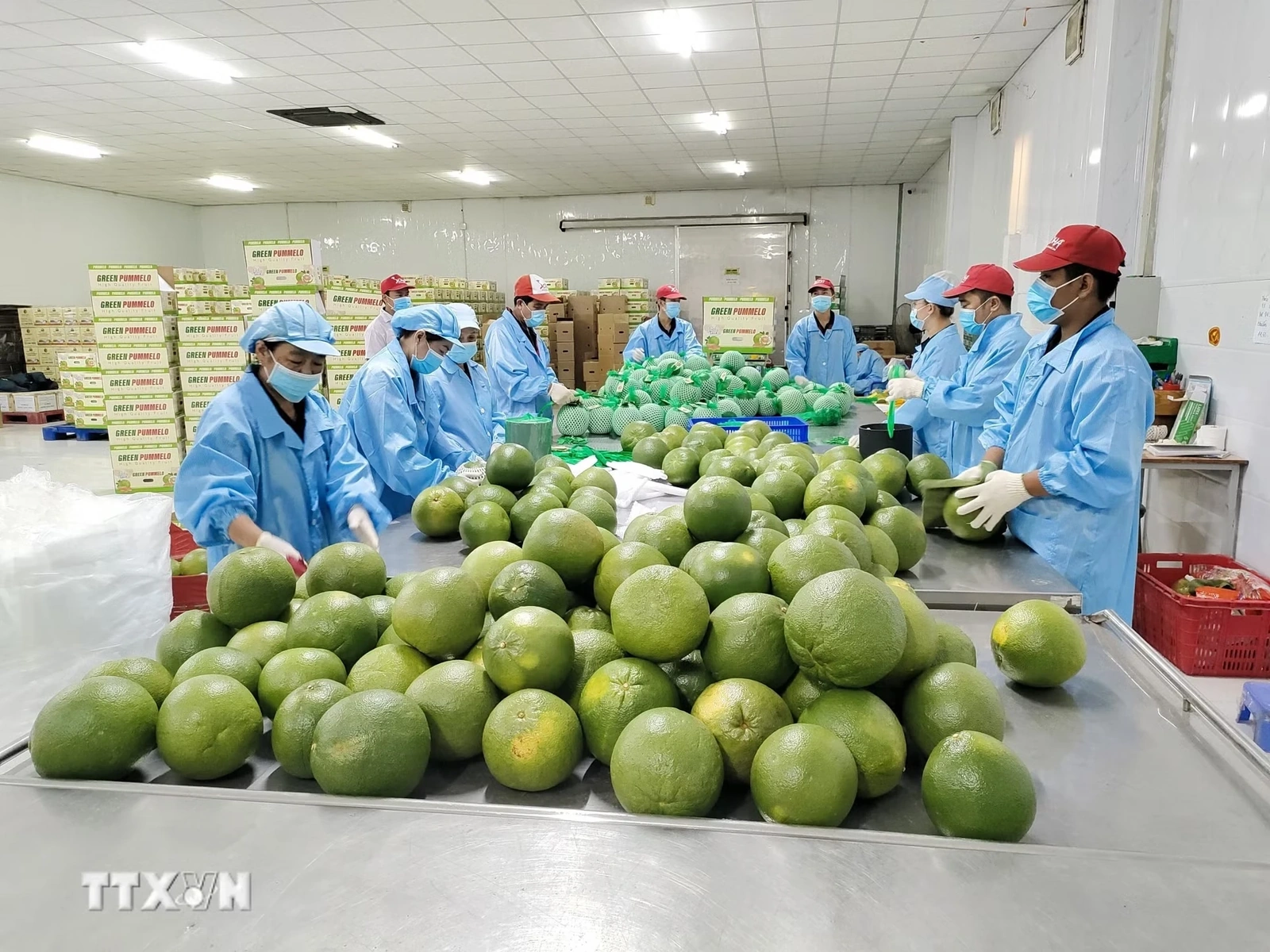 Cập nhật kịch bản tăng trưởng và giải pháp trọng tâm trong các quý còn lại