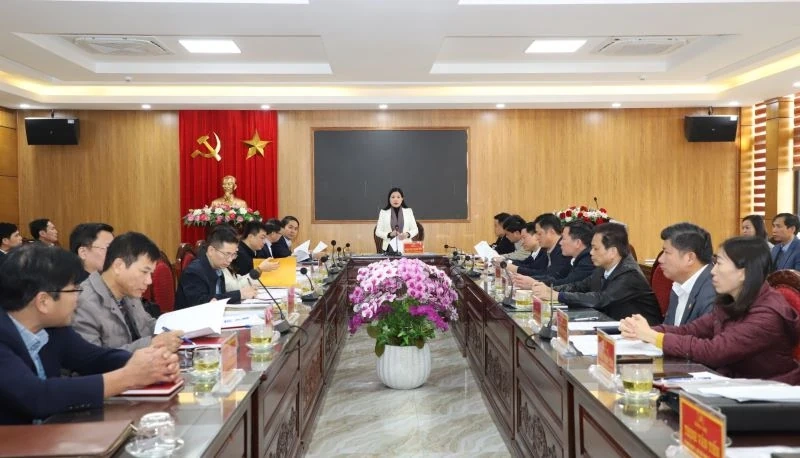 Gi&aacute;m s&aacute;t c&ocirc;ng t&aacute;c l&atilde;nh đạo, chỉ đạo, tổ chức thực hiện c&ocirc;ng t&aacute;c bầu cử đại biểu Quốc hội v&agrave; HĐND c&aacute;c cấp