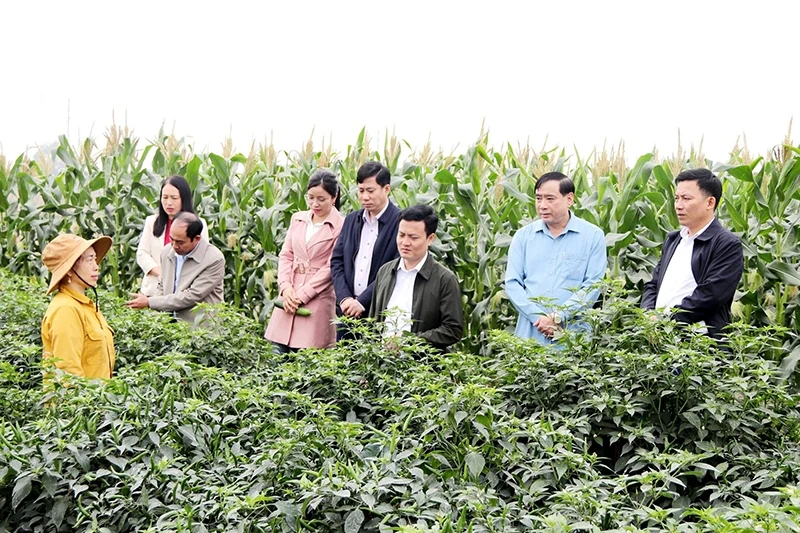 Định Tân quyết tâm đổi mới ngay từ những ngày đầu xuân