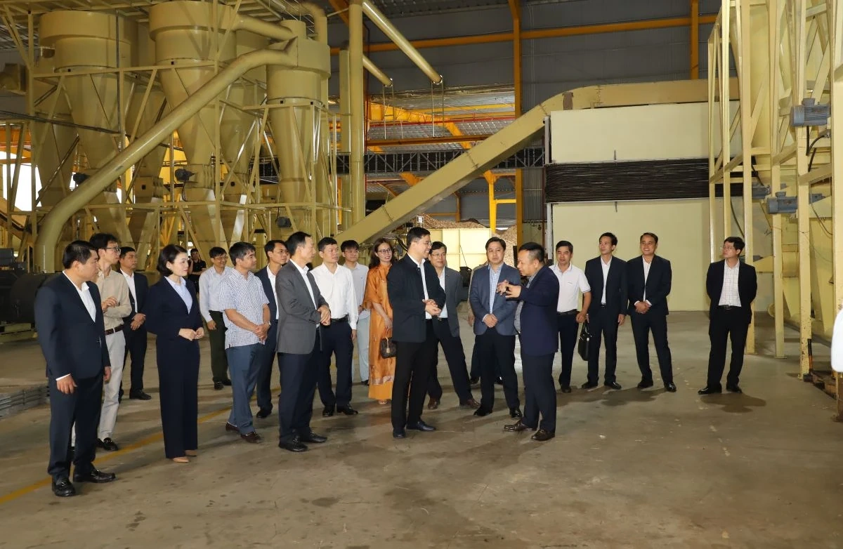 Phó Bí thư Thường trực Tỉnh ủy Nguyễn Hồng Phong dự lễ ra quân sản xuất đầu năm và làm việc tại xã Tân Thành