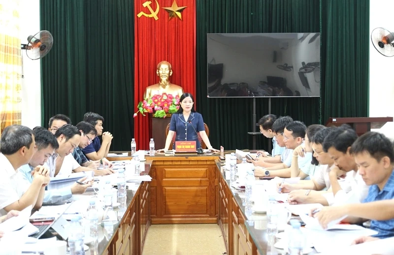 Đoàn kiểm tra của Ban Thường vụ Tỉnh ủy làm việc với 5 xã