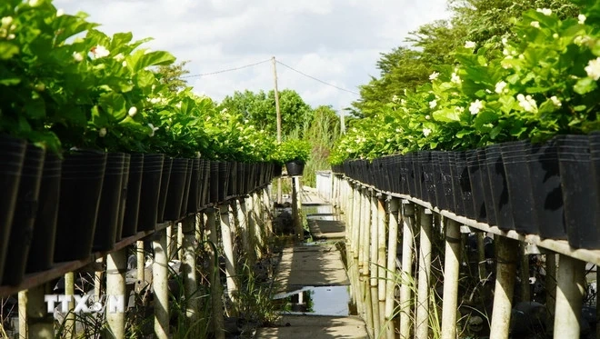 Đại hội XIV của Đảng: Kỳ vọng v&agrave;o c&aacute;c định hướng chiến lược v&agrave; quyết s&aacute;ch lớn