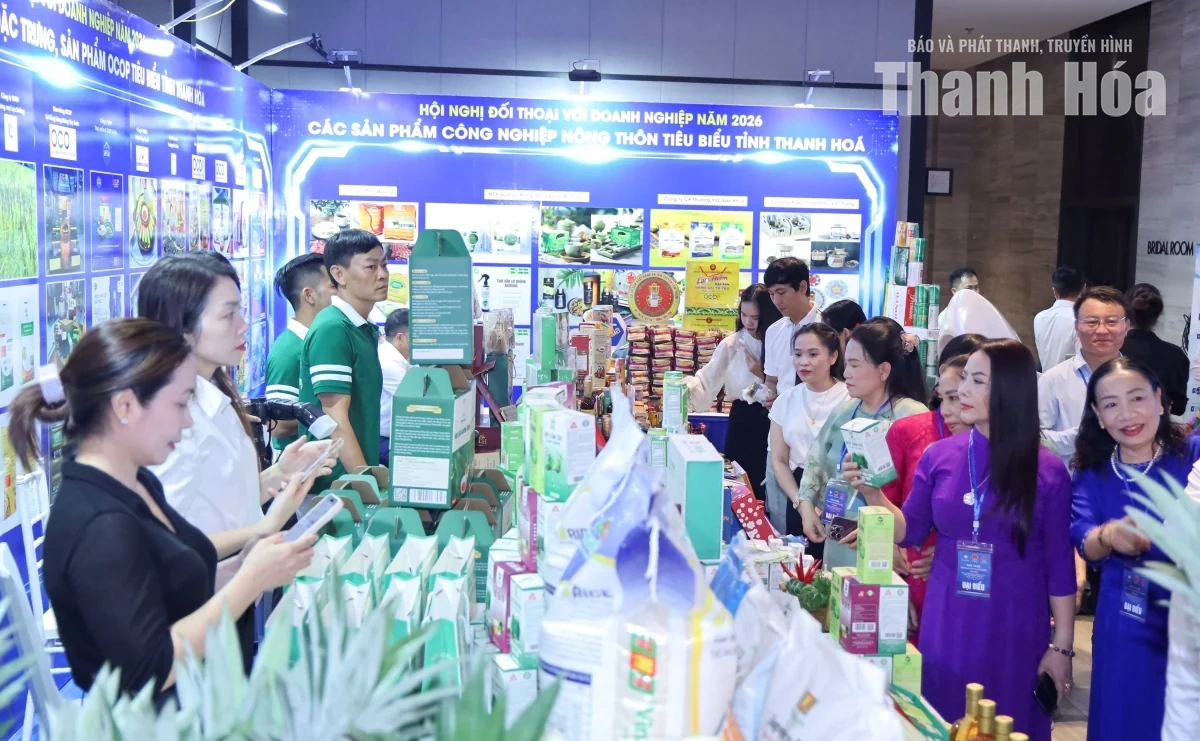 Đa dạng không gian trưng bày, mở rộng cơ hội kết nối doanh nghiệp