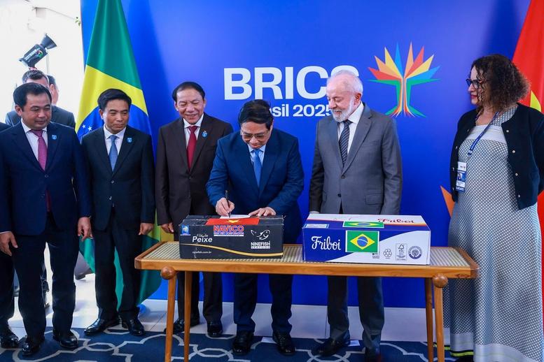 Thủ tướng Phạm Minh Chính hội đàm với Tổng thống Brazil- Ảnh 6.