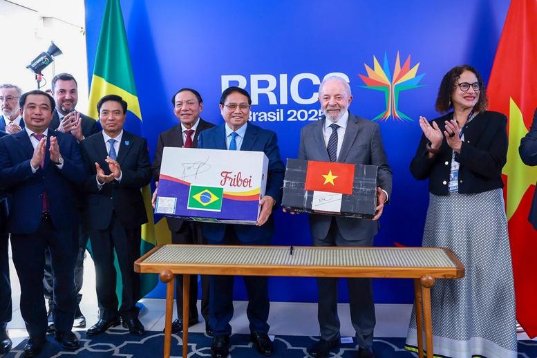 Thủ tướng Phạm Minh Chính hội đàm với Tổng thống Brazil- Ảnh 7.