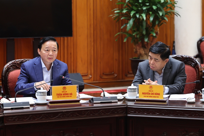 Thủ tướng: Ph&aacute;t triển ng&agrave;nh c&ocirc;ng nghiệp đất hiếm, g&oacute;p phần tự chủ chiến lược- Ảnh 3.