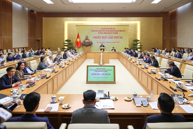 Thủ tướng: Củng cố niềm tin, h&agrave;nh động thực chất, hiệu quả, đột ph&aacute; để ph&aacute;t triển kinh tế tư nh&acirc;n- Ảnh 8.