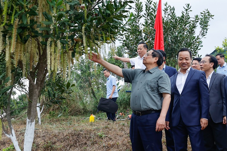 Thủ tướng Phạm Minh Chính: Cần biến núi rừng Tây Bắc trùng điệp thành của cải vật chất- Ảnh 2.