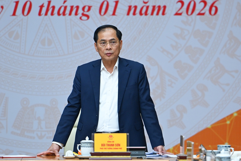 Thủ tướng: Sớm ho&agrave;n thiện chương tr&igrave;nh hỗ trợ doanh nghiệp Việt Nam ra thế giới- Ảnh 3.