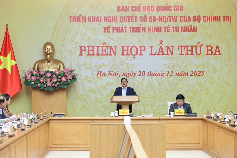 Thủ tướng: Củng cố niềm tin, h&agrave;nh động thực chất, hiệu quả, đột ph&aacute; để ph&aacute;t triển kinh tế tư nh&acirc;n- Ảnh 7.