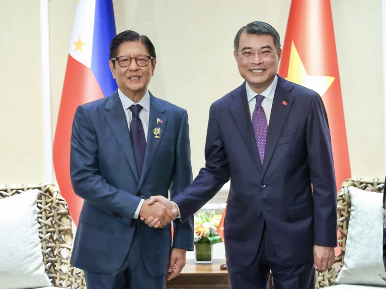 Thủ tướng Lê Minh Hưng hội kiến Tổng thống Philippines- Ảnh 1.