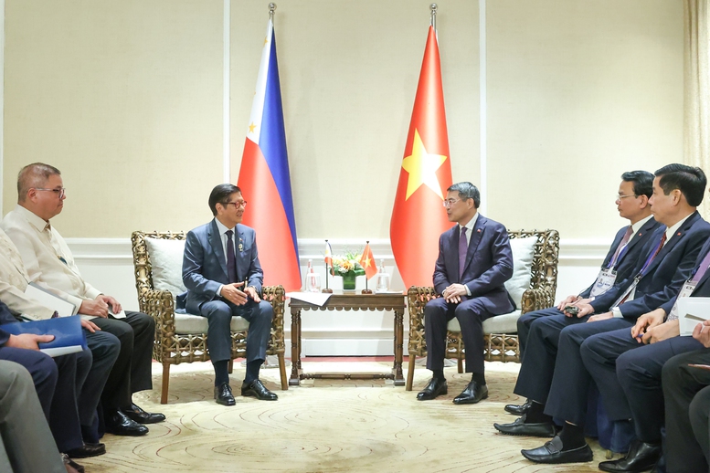Thủ tướng Lê Minh Hưng hội kiến Tổng thống Philippines- Ảnh 3.