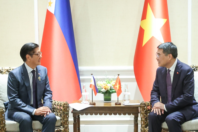Thủ tướng Lê Minh Hưng hội kiến Tổng thống Philippines- Ảnh 2.