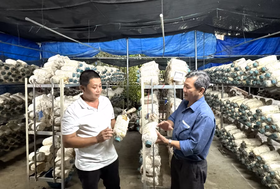 Thông qua các phong trào thi đua sản xuất, kinh doanh giỏi, nhiều hội viên nông dân ưu tú đã được phát hiện, bồi dưỡng và kết nạp vào Đảng. Ảnh: N.H 2.jpg