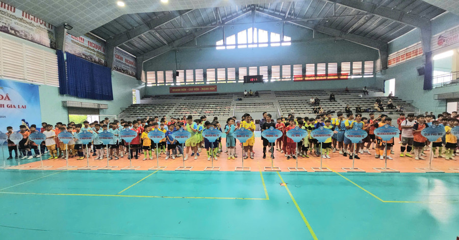 Quang cảnh lễ khai mạc Giải bóng đá Thiếu niên-Nhi đồng tỉnh Gia Lai năm 2025. Ảnh: R'Ô HOK z6935822757673-71dc0d0341abf4efde45de17db9609fd.jpg