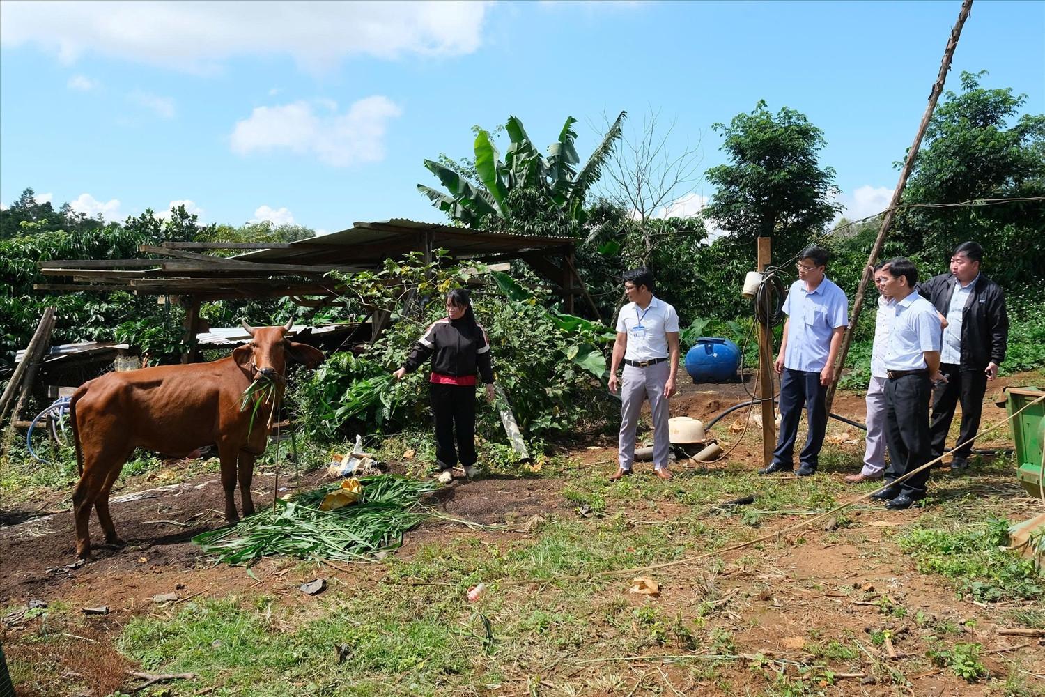 Giảm ngh&egrave;o 1.jpg