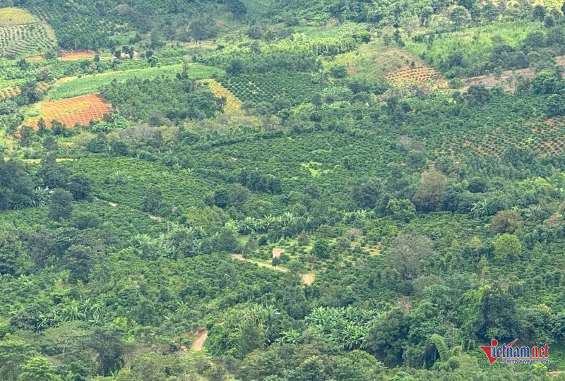 W-Mở lối tho&aacute;t ngh&egrave;o 3.jpg