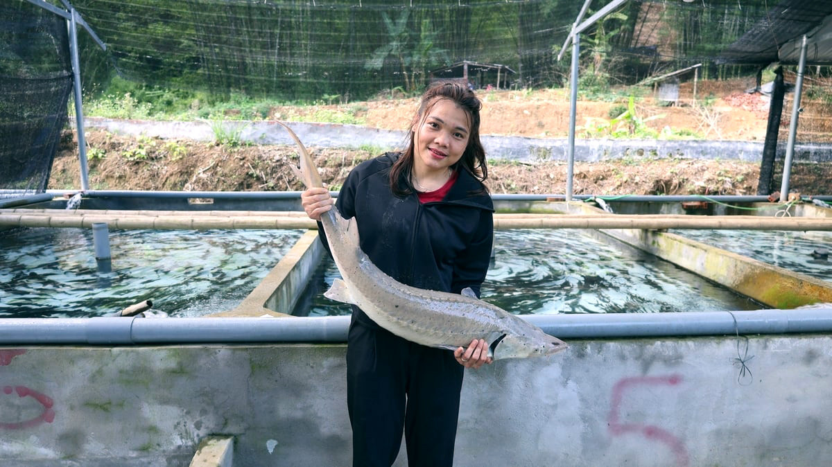 img 1631 183327 200 133516 89072.jpg