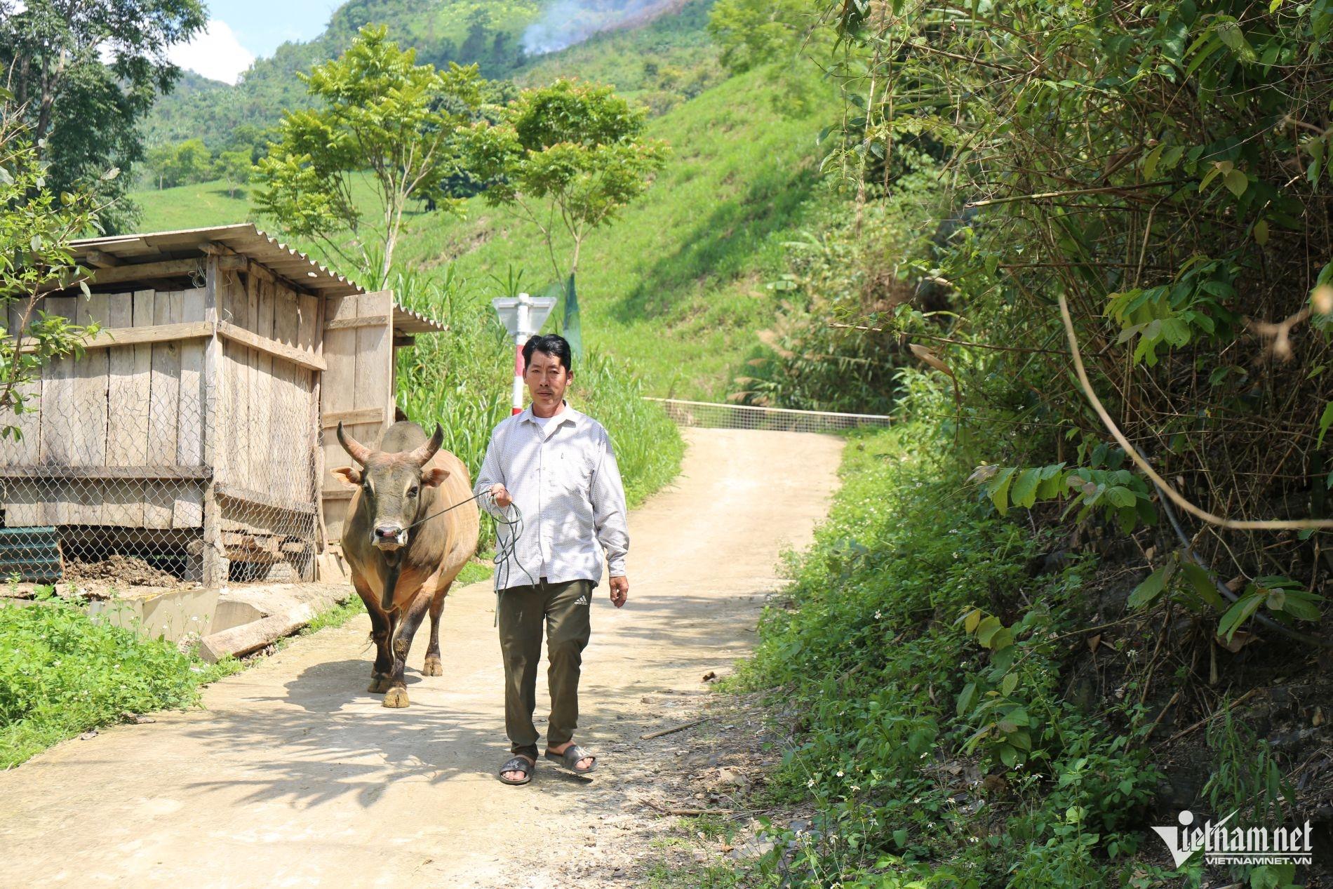 W-“Mình vào Đảng rồi mà cứ nghèo mãi thì ngại với dân lắm”, Đảng viên Lầu Bá Chùa ở bản Mò Nừng, xã Mường Lống chia sẻ.jpg